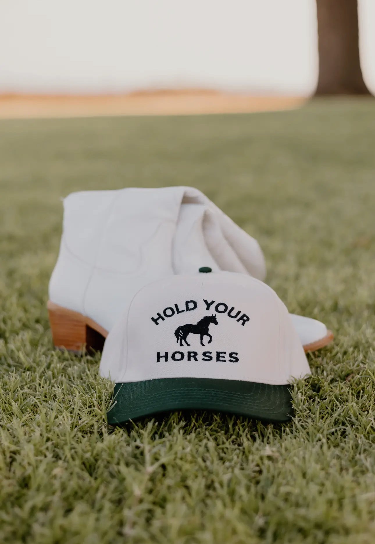 Hold Your Horses Hat